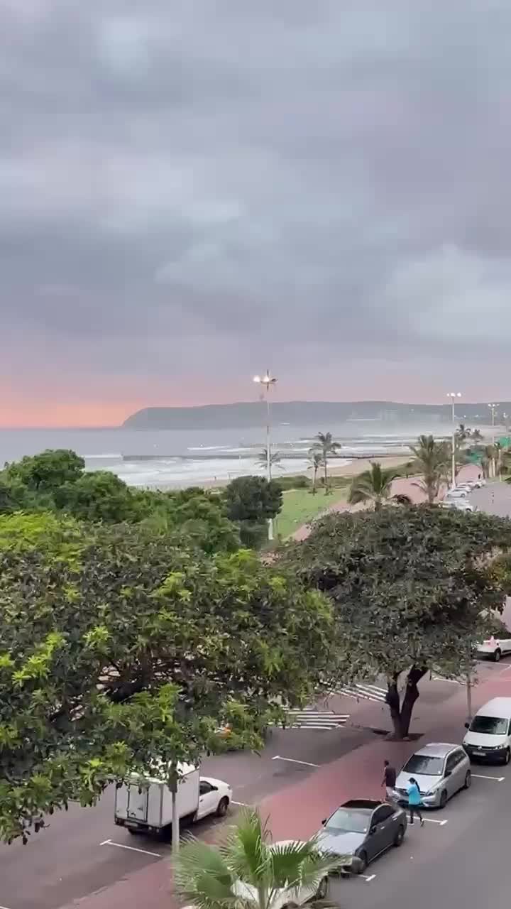 @zenzele99#