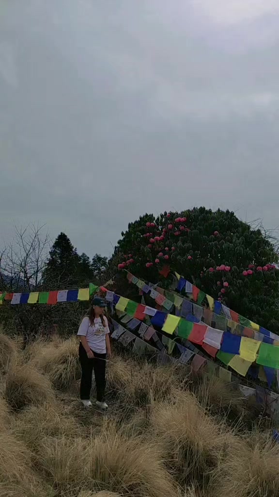 @Shrestha garbuja jyoti