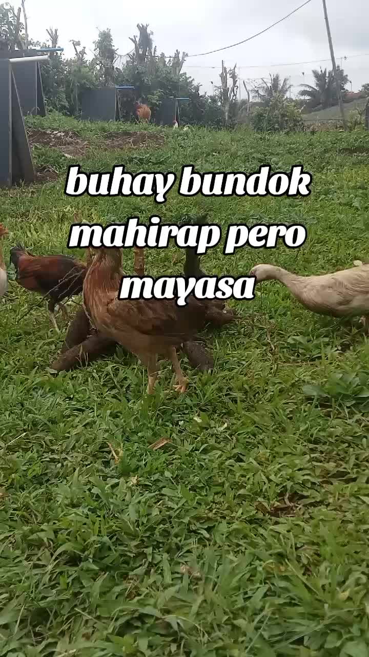 @human🇵🇭🇵🇭