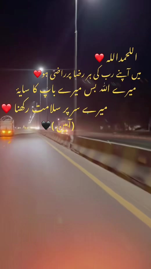 @m.s.s.804