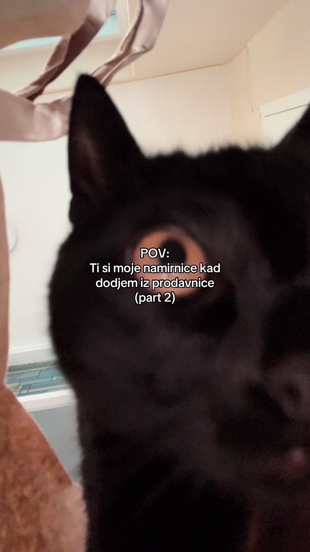 @Nymeria