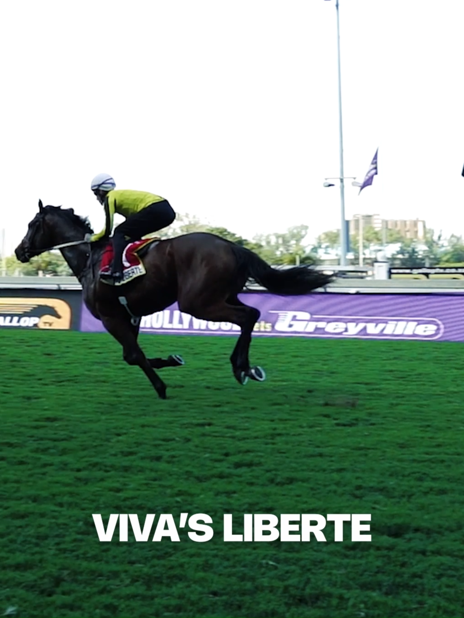 @Gallop TV