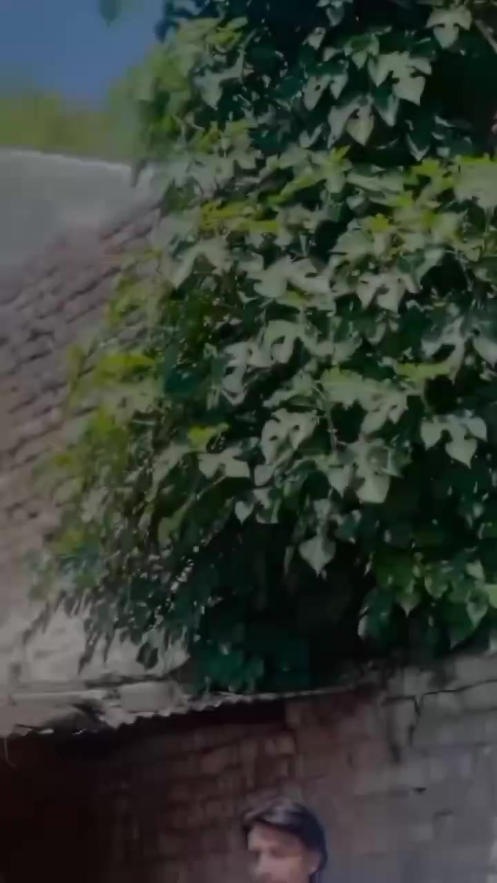 @ع👀