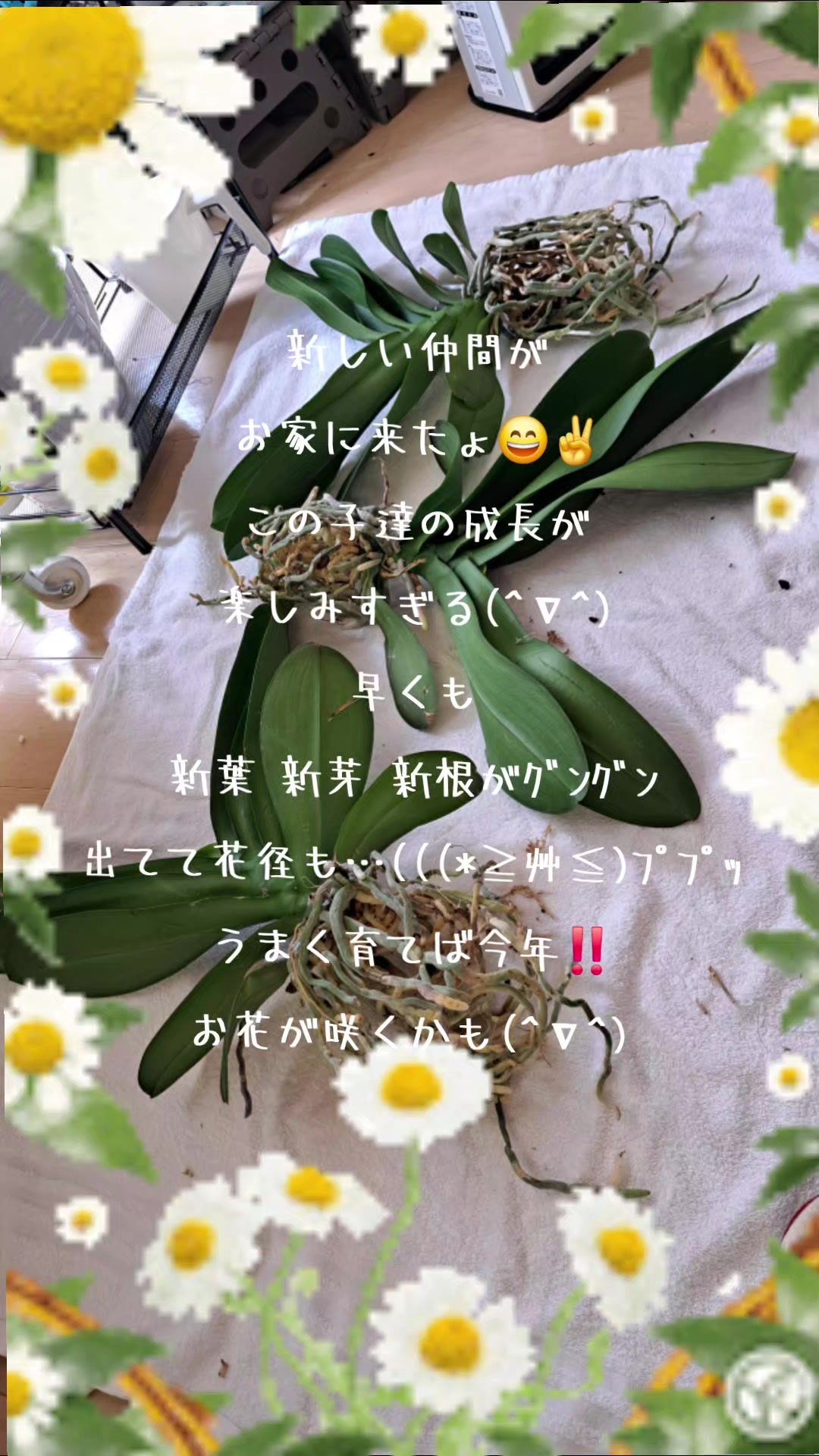 @🌊🌊波🌊🌊