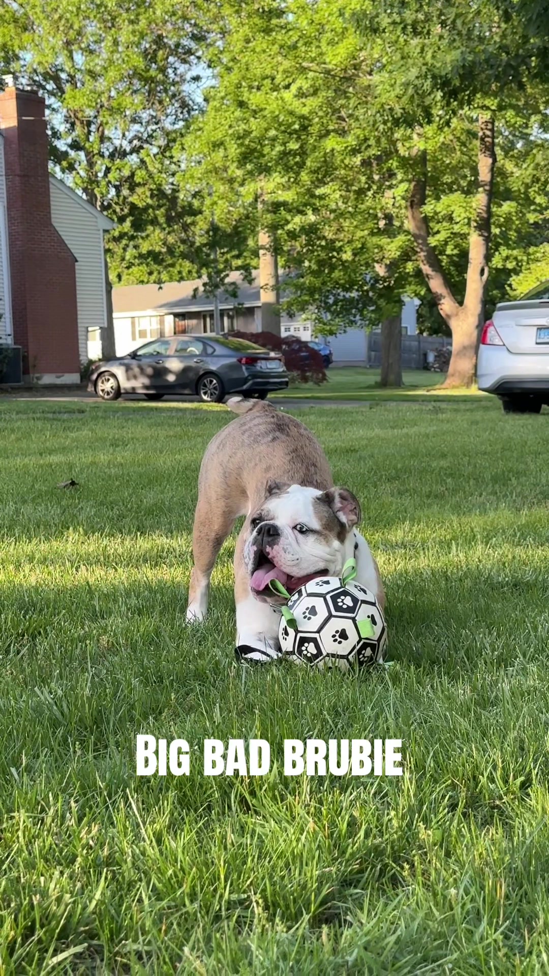 @Mac & Bruschi (&mom)
