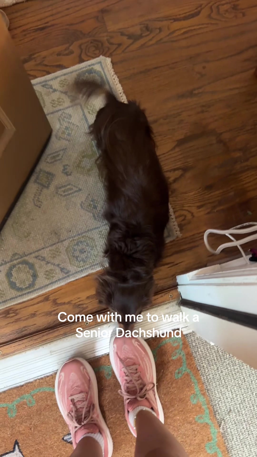 @dallasdogwalker