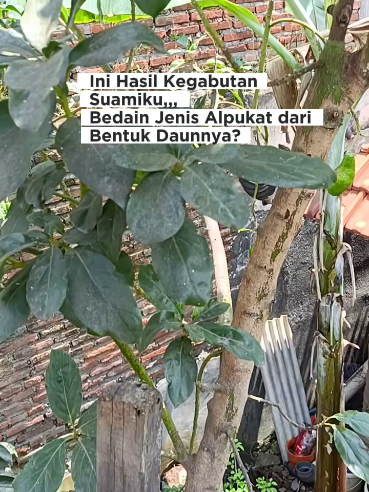 @Ladin Ecofarm