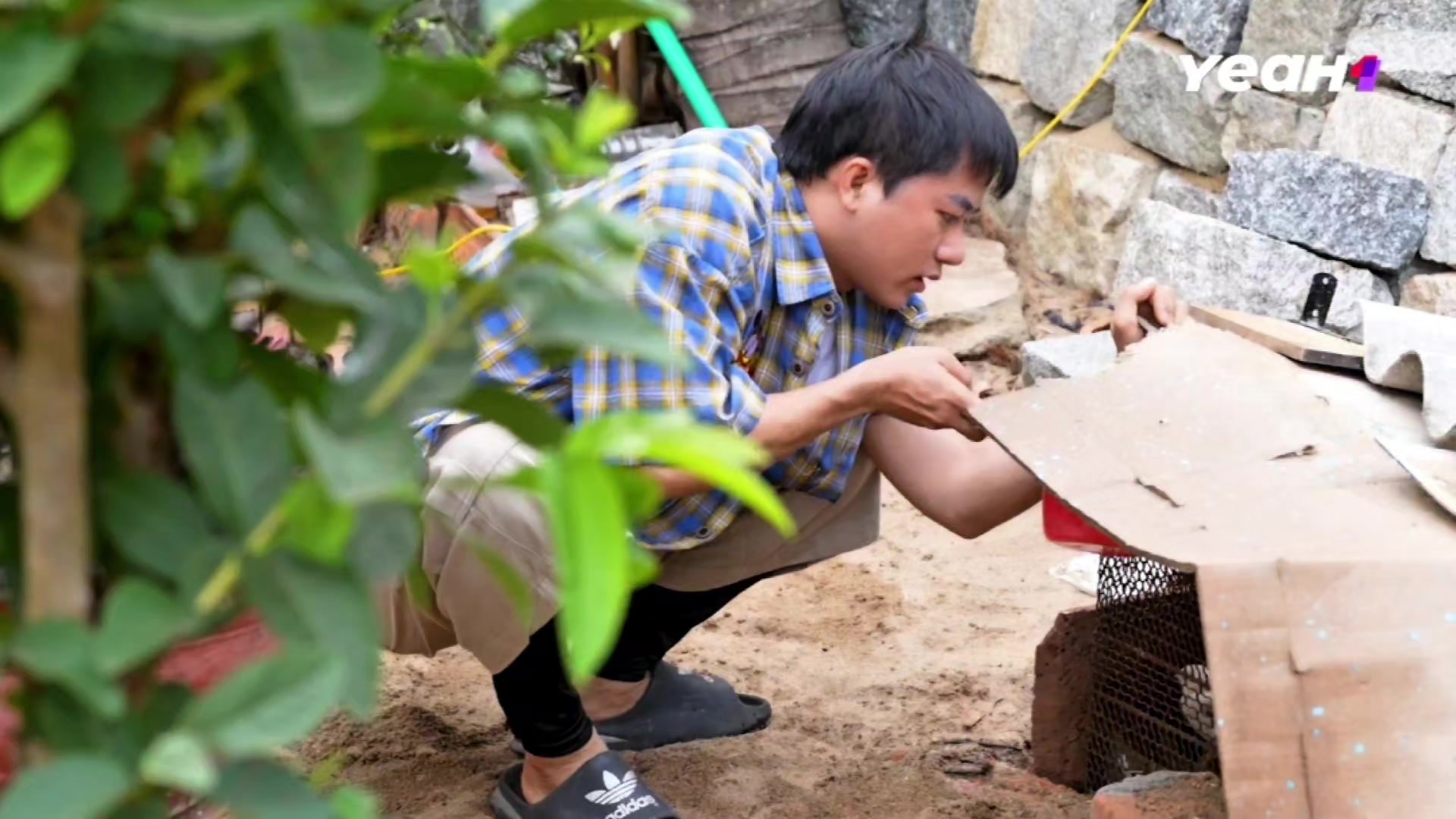 @Topping của tiệm Nui