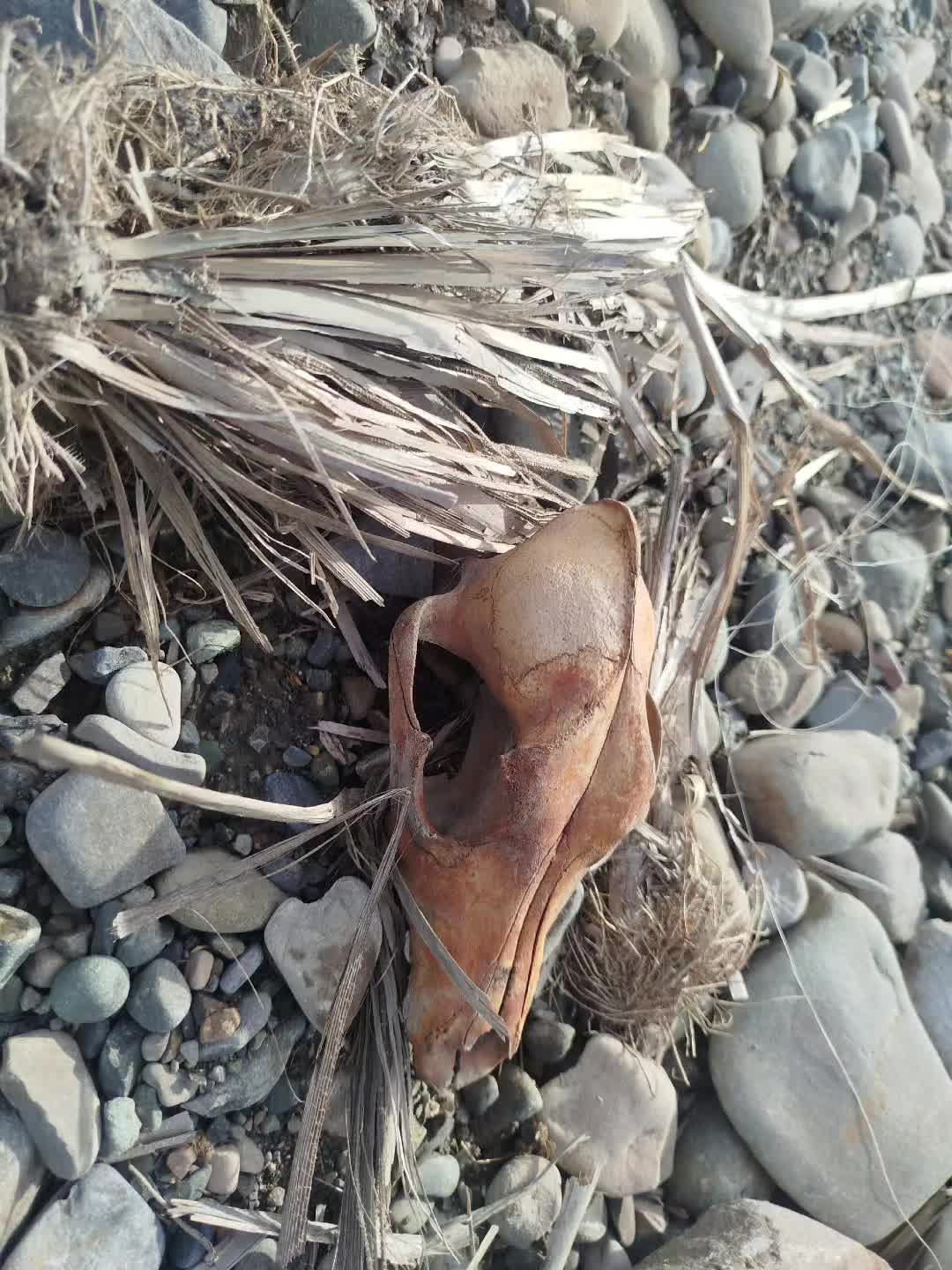 @Кирил Юртин