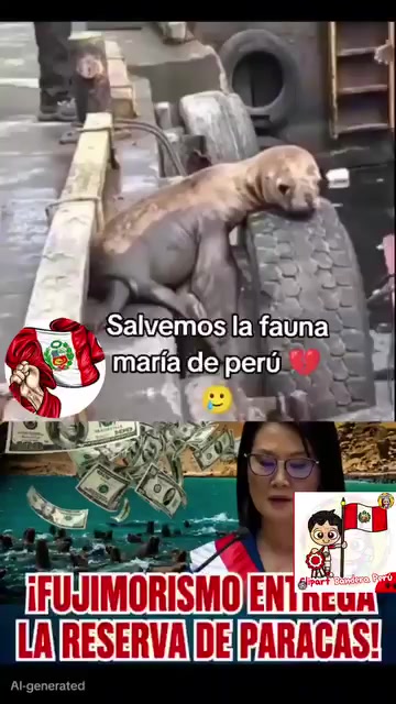 @XAVIEL CB