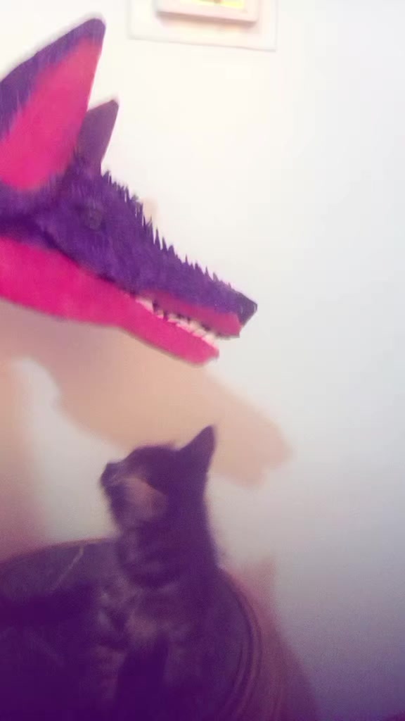 @s̆̈ă̈l̆̈m̆̈ă E͛L͛S͛H͛A͛B͛ASY