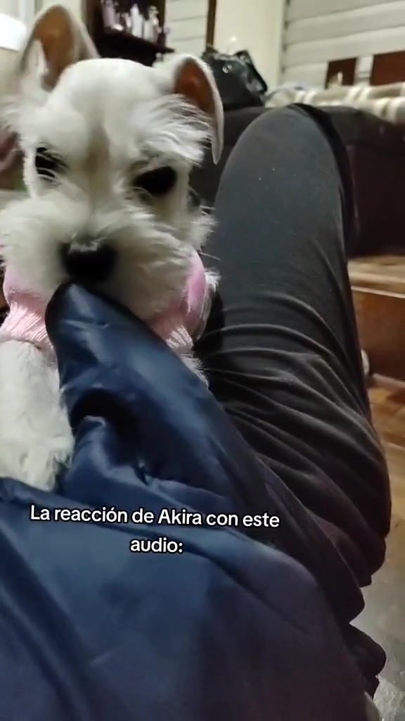 @María Fernanda Garcia Franco