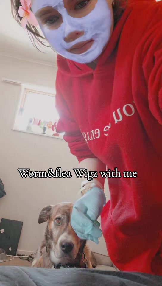 @Wigz