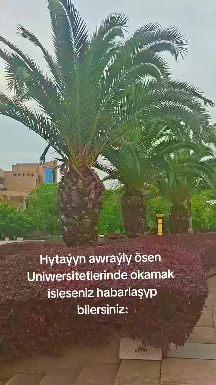 @Ylym we Sy&yacute;ahat