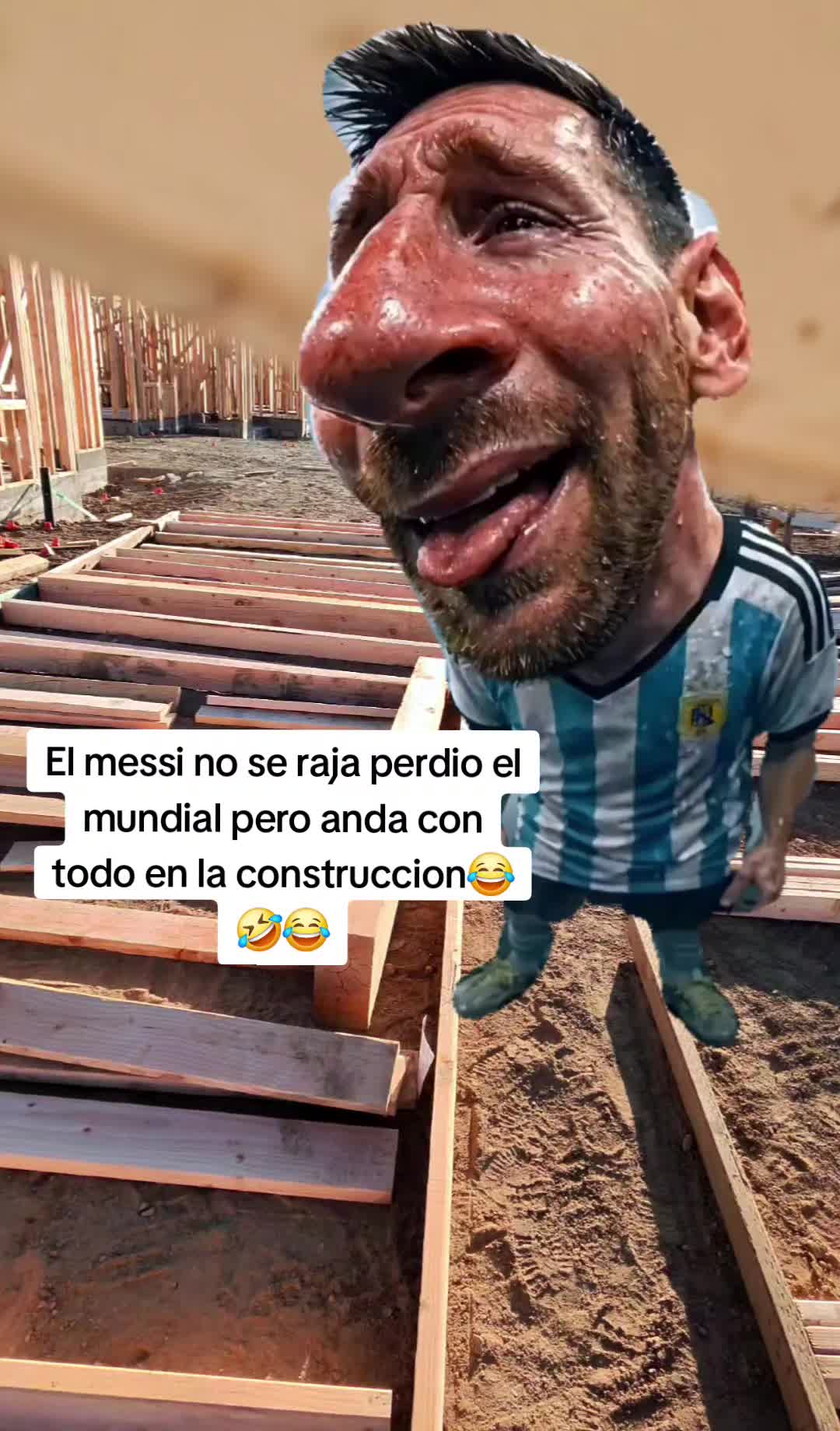 @pollo 🐣