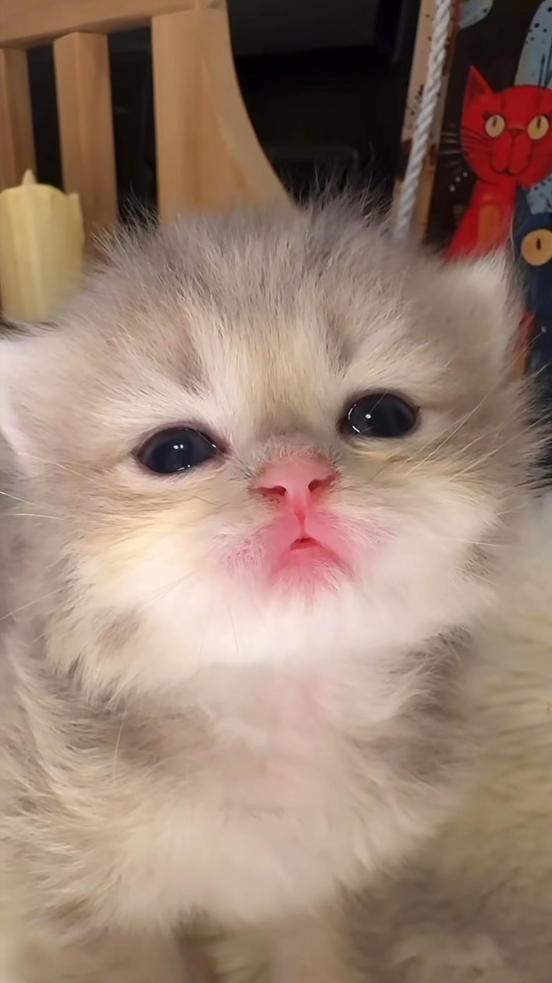 @ViralPick