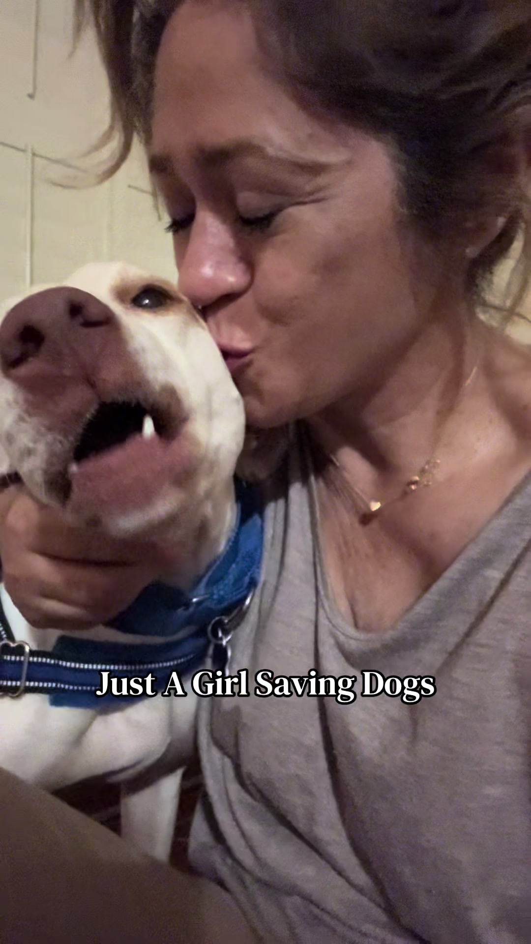 @Just A Girl Saving Dogs