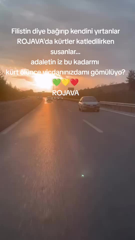 @Selim Altin