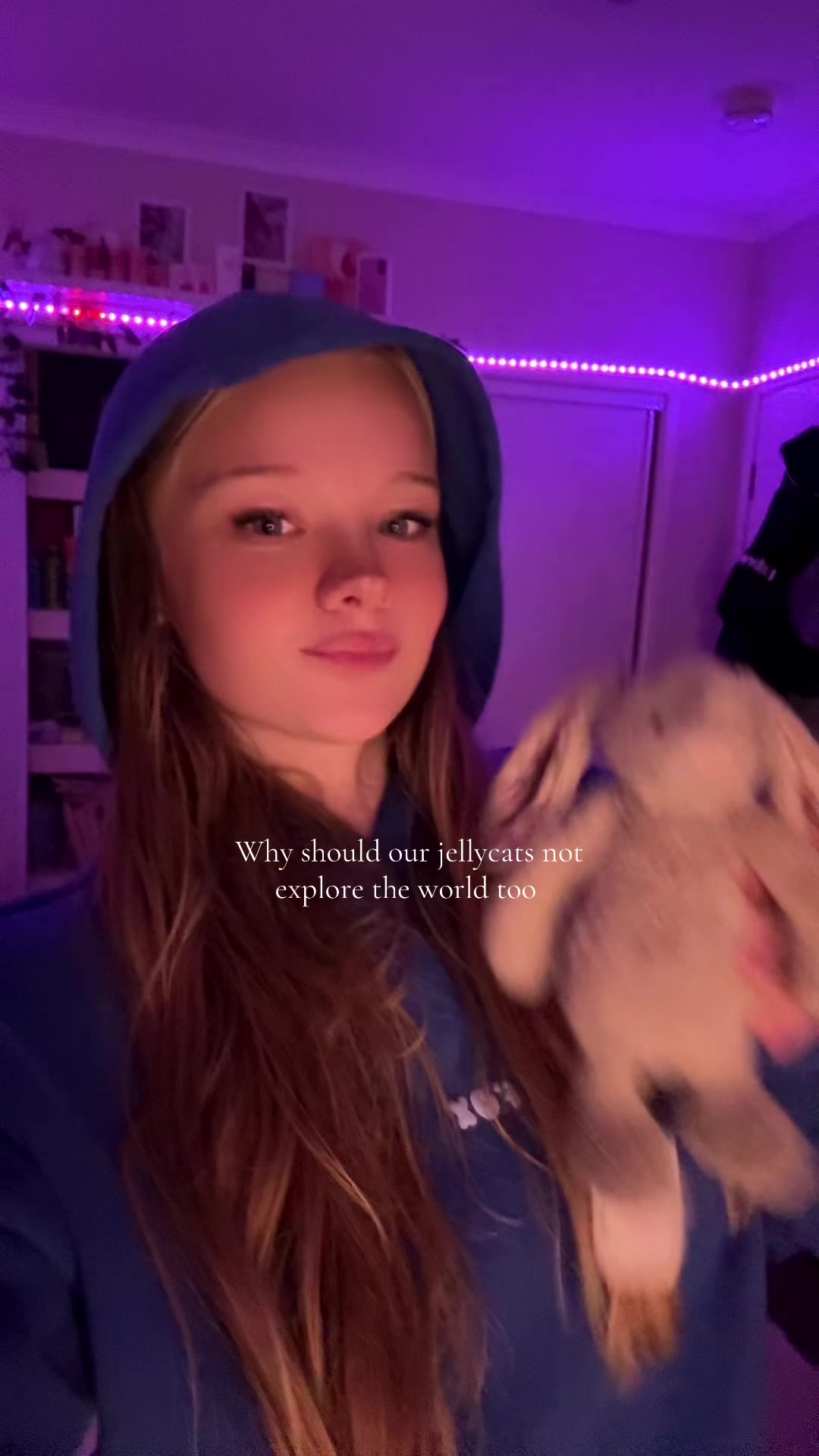 @Dani 🧸ྀི