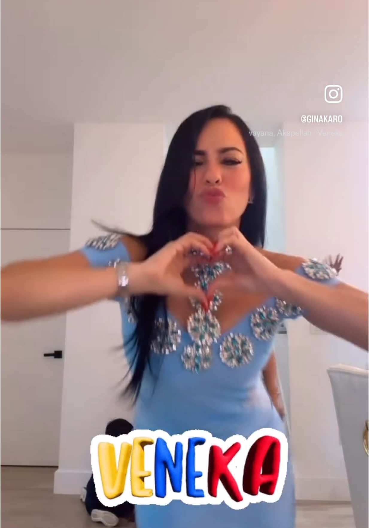@ginakaro