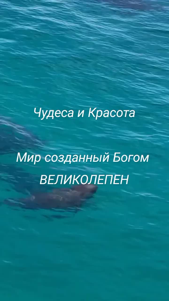 @Tanya Meir