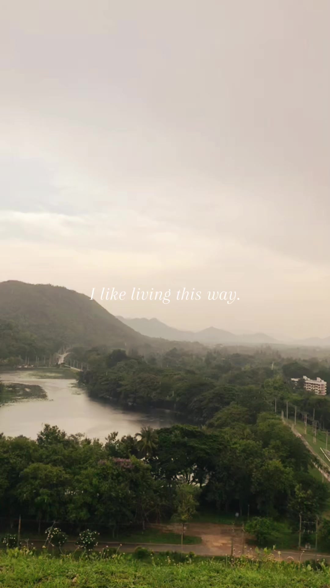 @ใบตาล