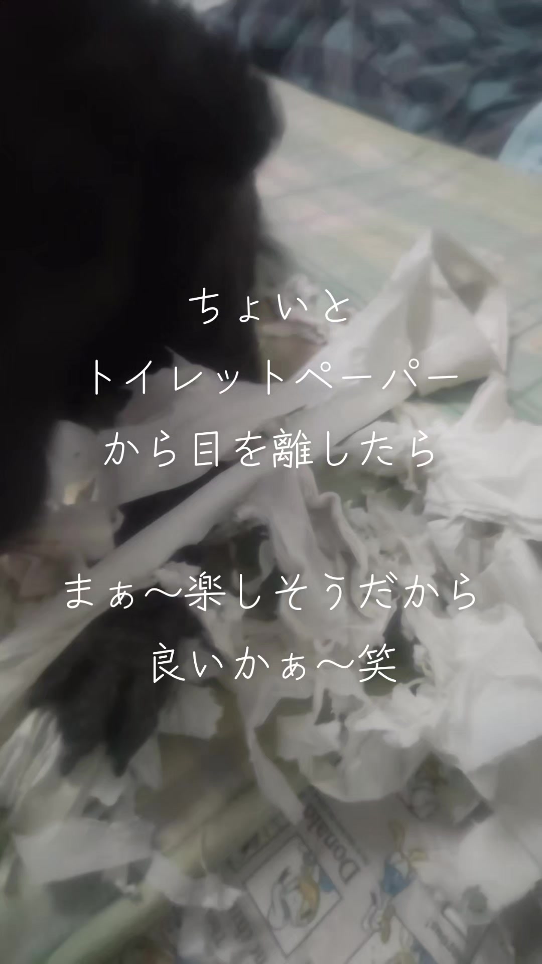 @マジカルな🙄ずんだひろし??