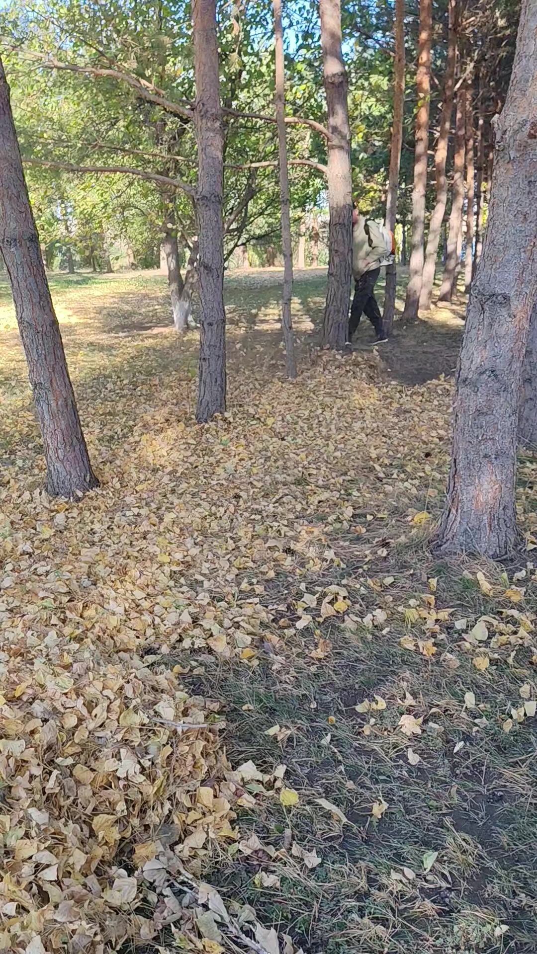 @гулак Юрий