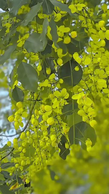 @"sk_varma"
