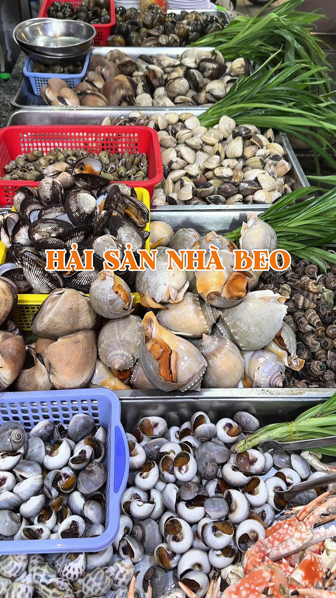 @Góc nhỏ của Chii ☘️