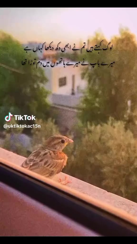@ambarsariya