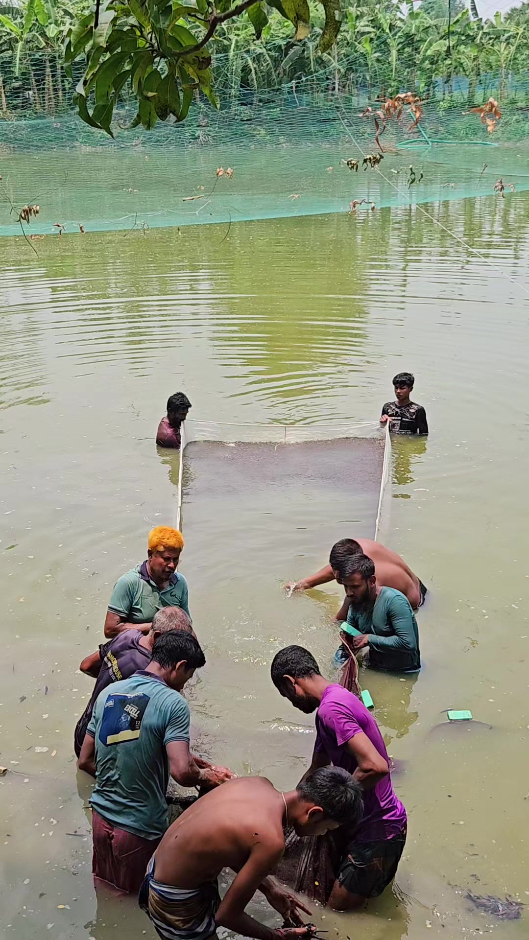 @[💢শ্যাম&copy;সুন্দর💢]
