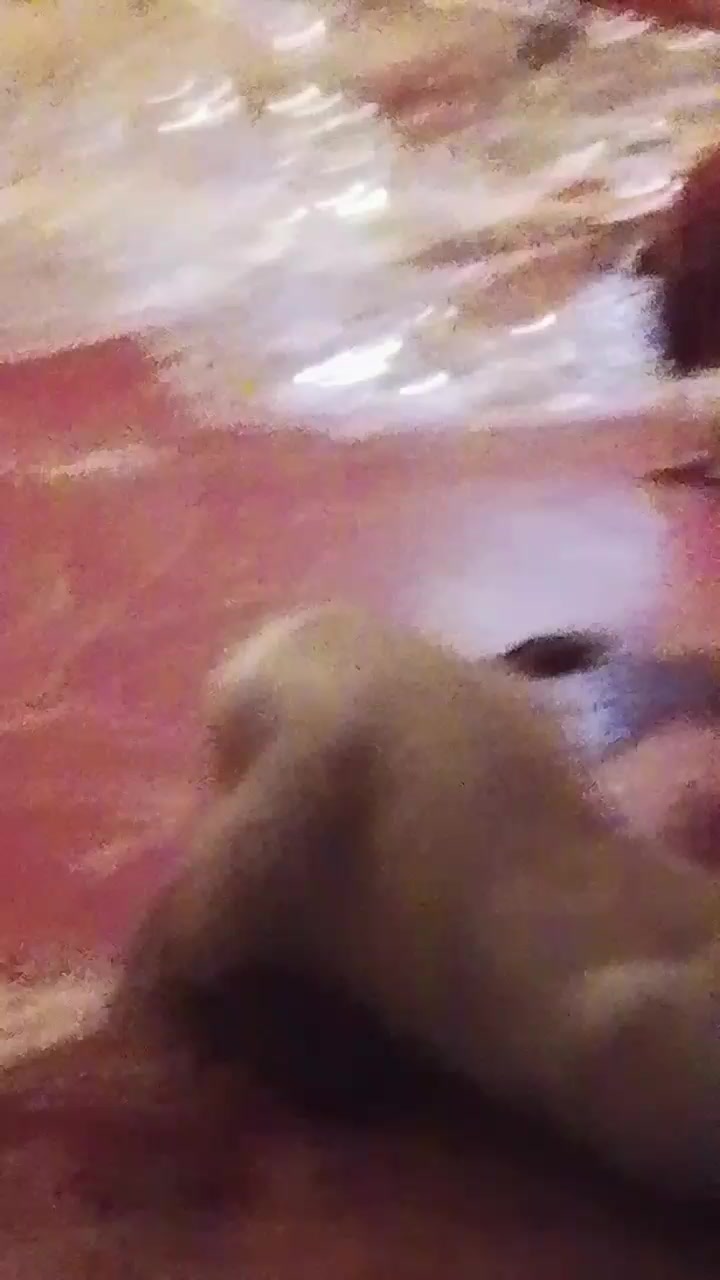 @Dgeki