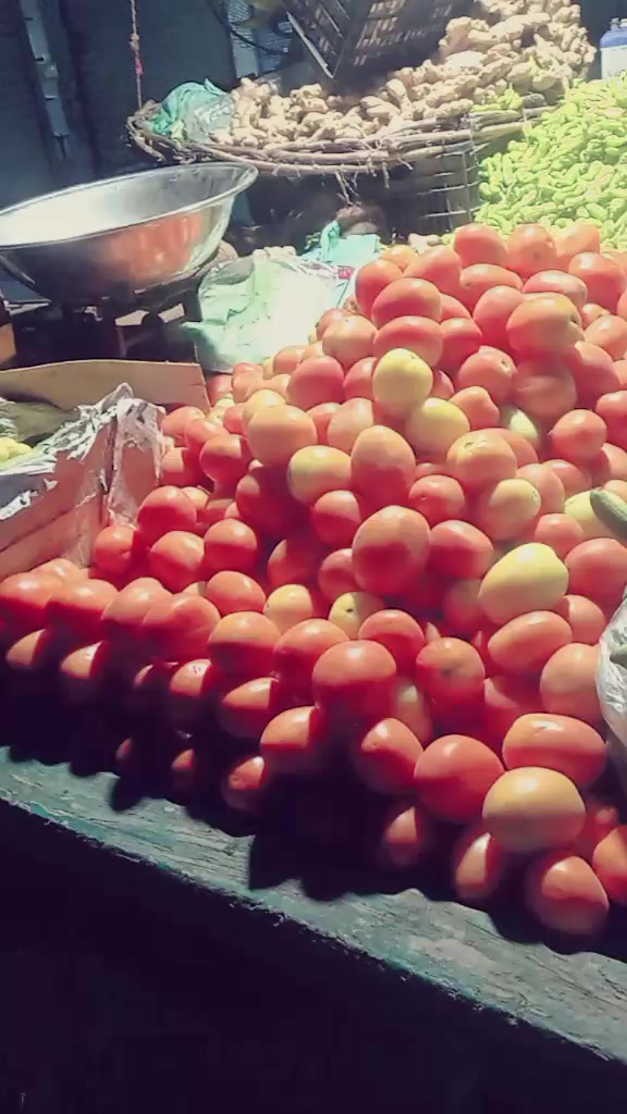 @muzammalsab266