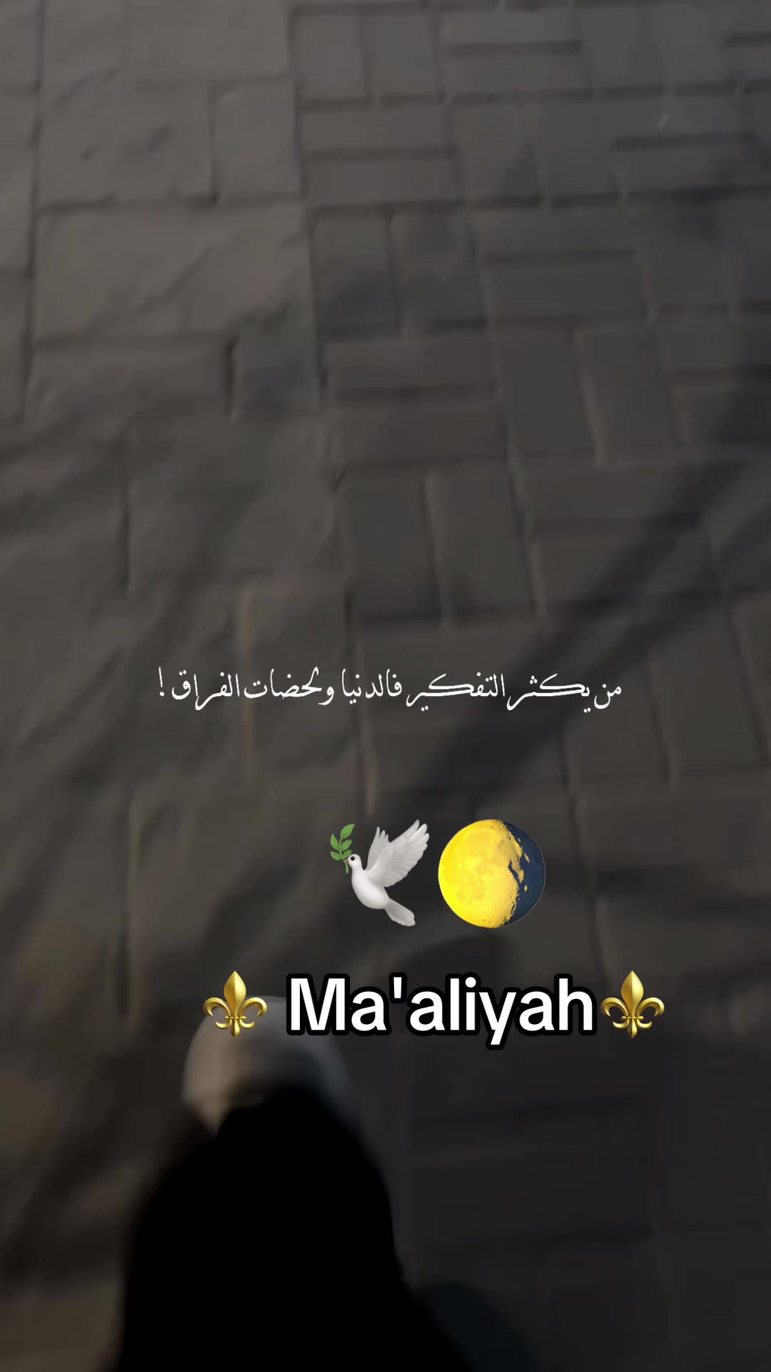 @Ma'aliyah🐆🐆🌕