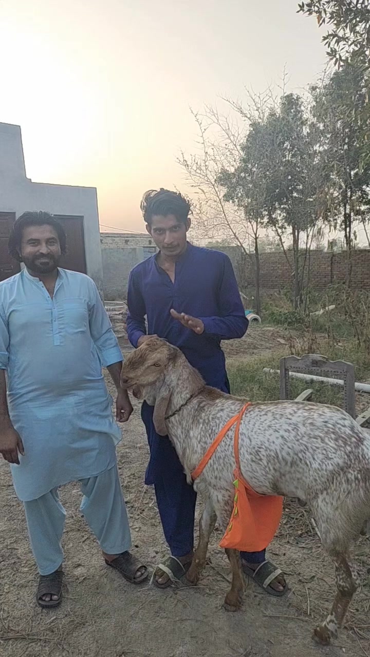 @۔جو مرضی کر لو آخر موت ہے۔