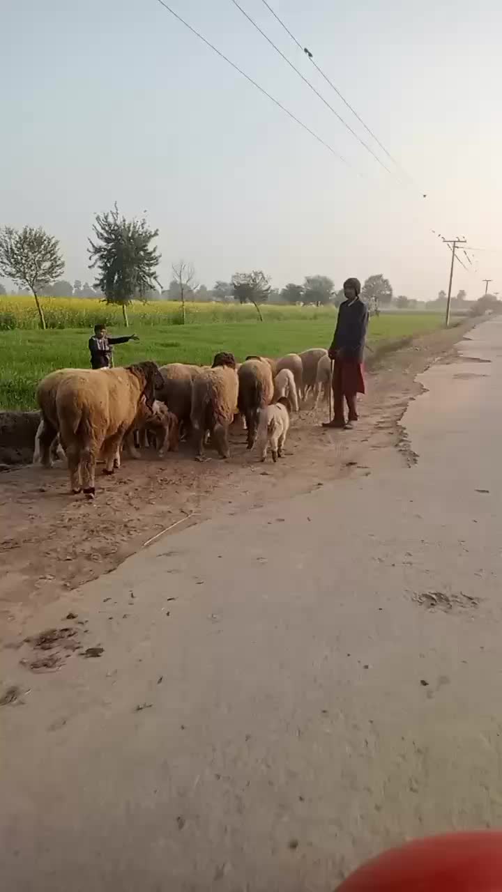 @Ramzan khan dunyapur