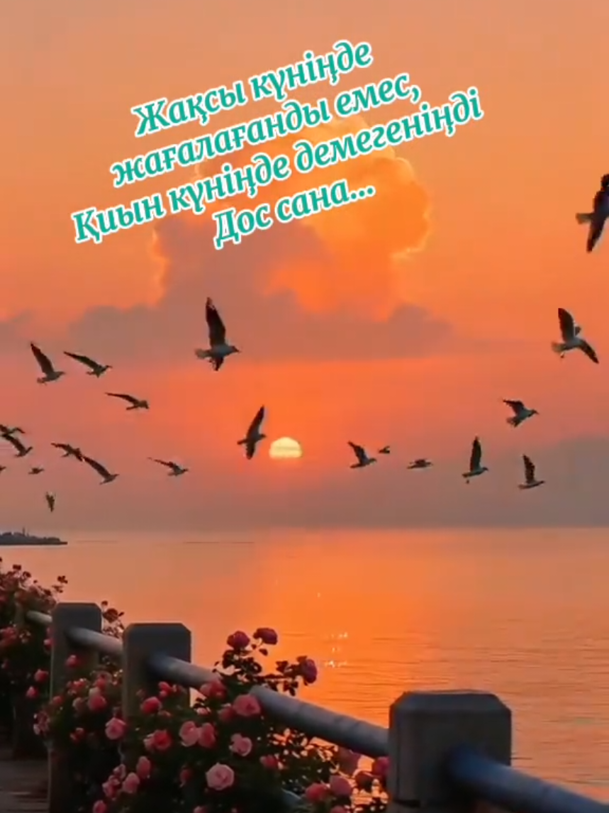 @Жанар Бегасилова
