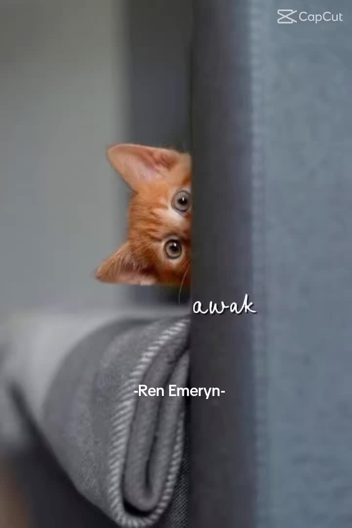 @Ren➖Emeryn