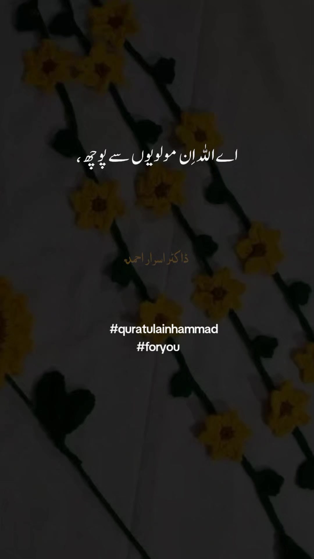 @quratulain hammad