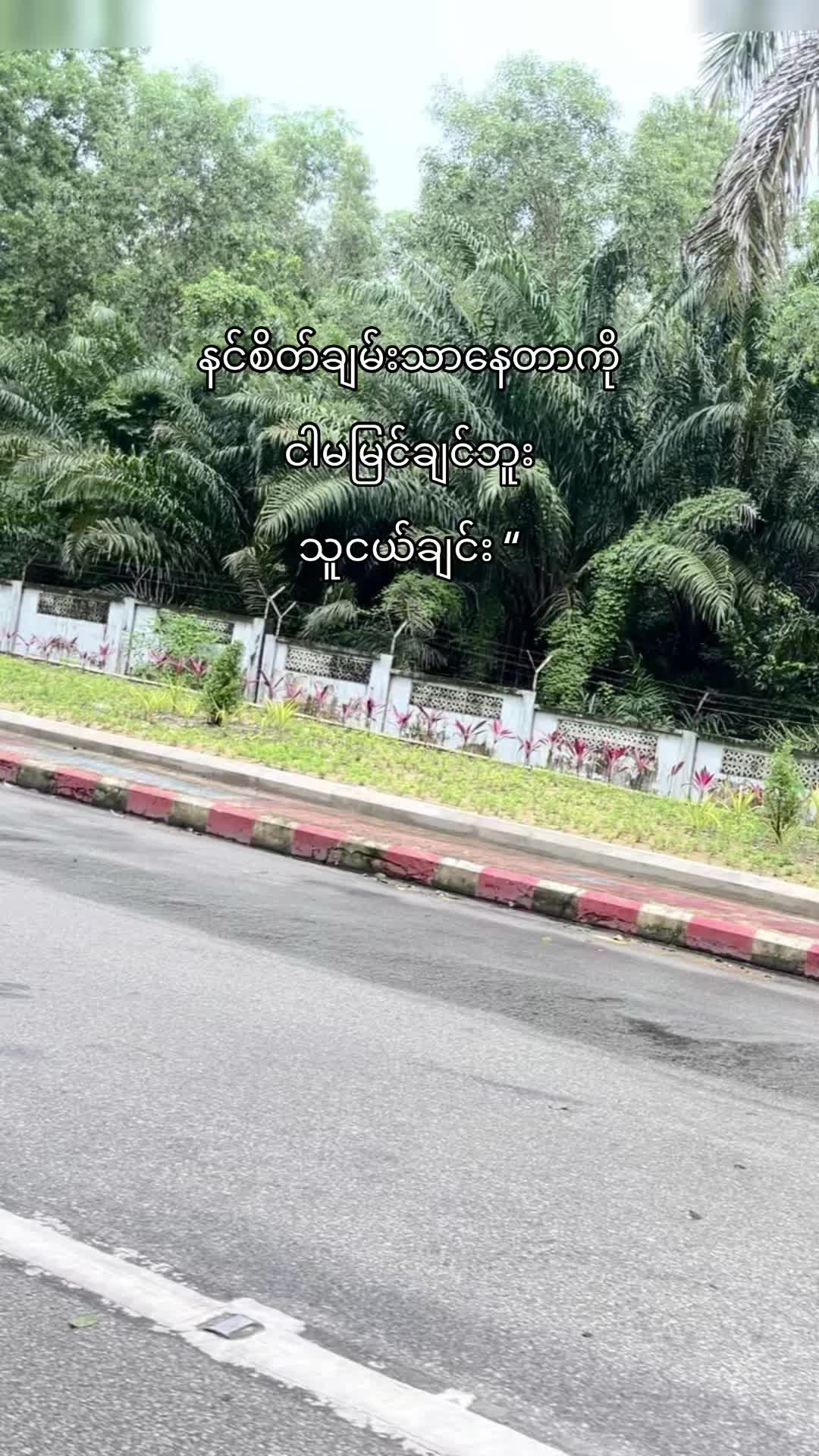 @Mi Lin