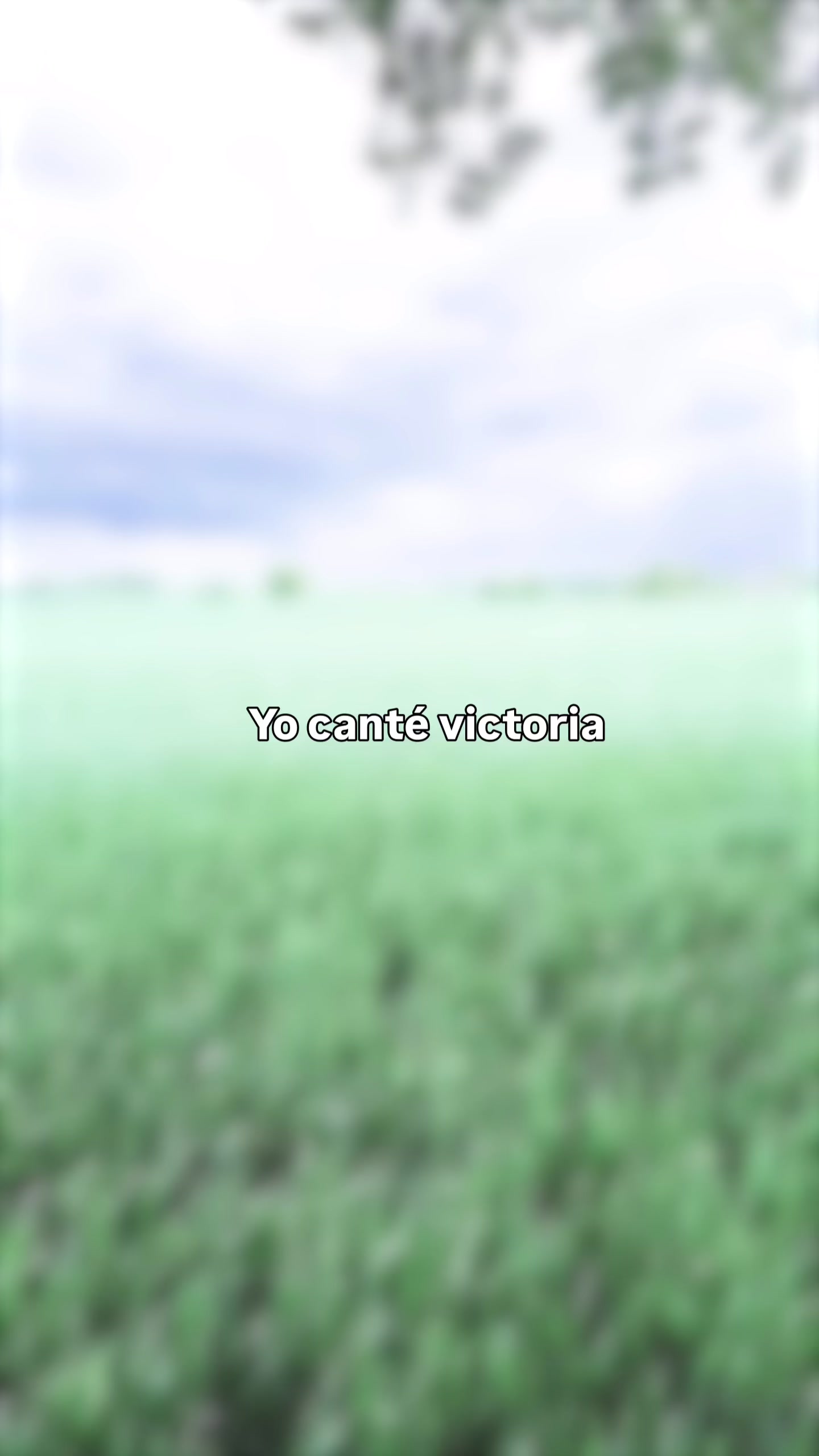 @Thyago Rojas