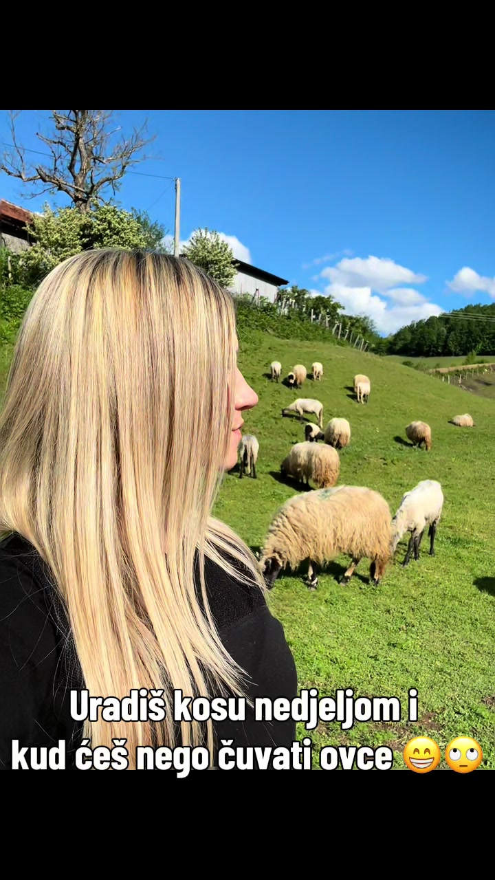 @Ilhana Novkinic