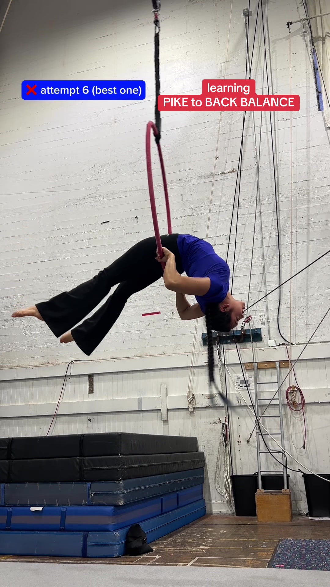 @circusseneca