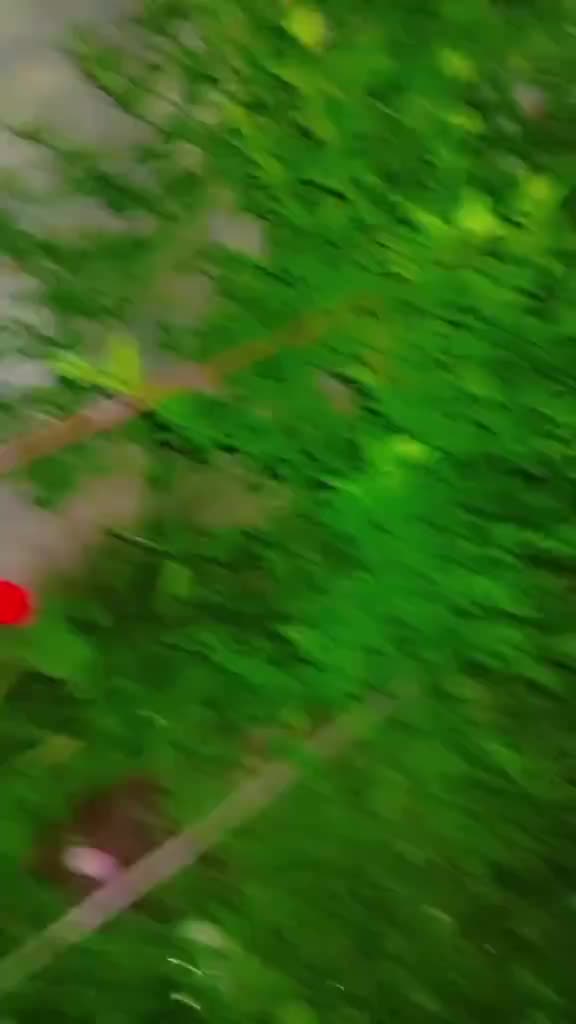 @🅻︎🅾︎🅵︎🅴︎🆅︎🆁︎ 🅱︎🅾︎🆈︎