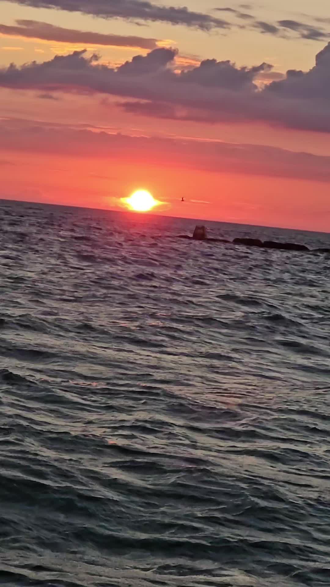 @♥️ Syria 🇸🇾❤️