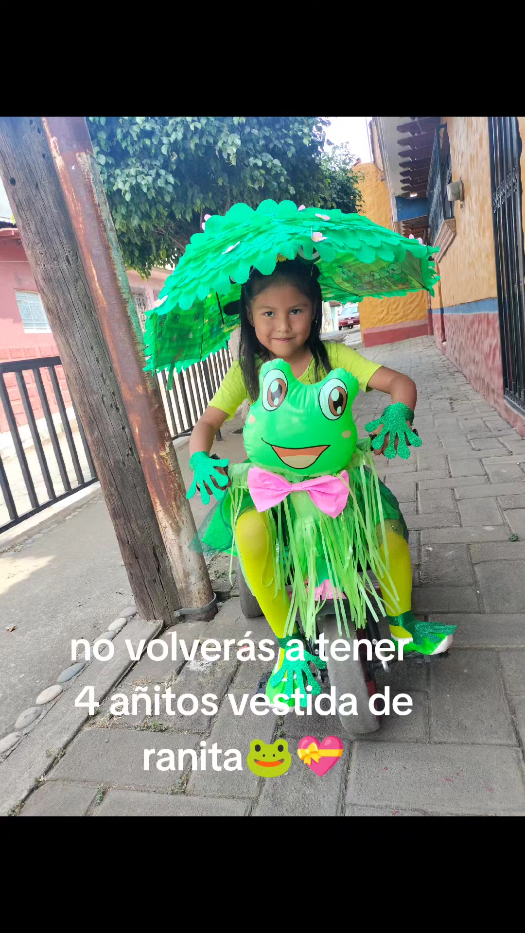 @luz J