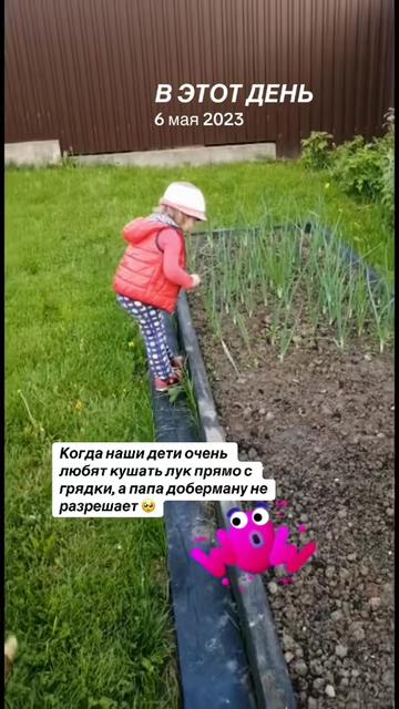 @Доберман Шелби