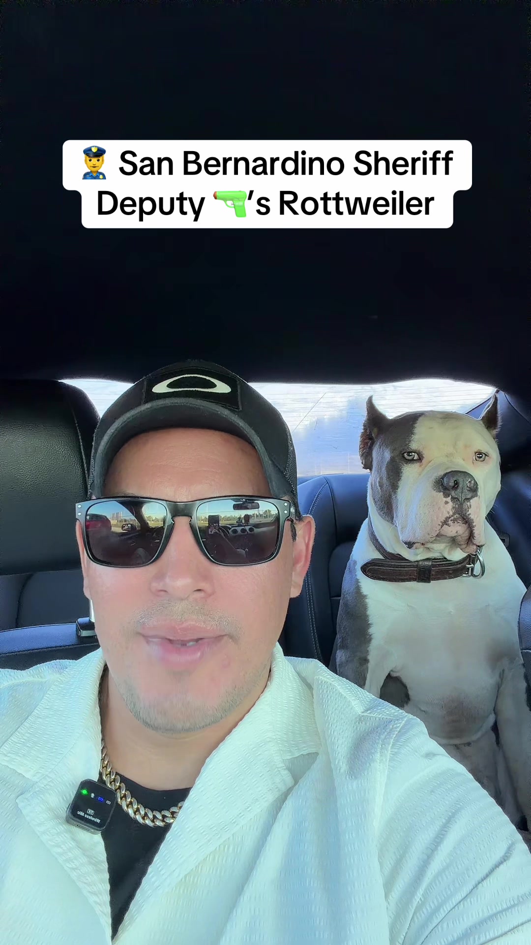 @🪶TheN8tiveDogfather🐾