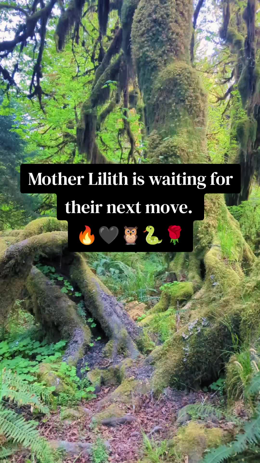 @Lilitu Tarot ❤️🔥🥀